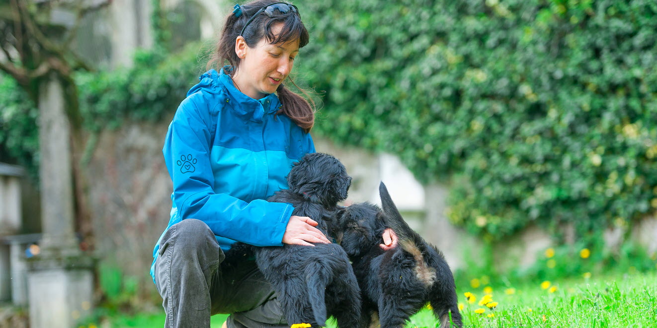 Frau kommuniziert mit ihren Hunden