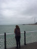 Aussicht über den Brighton Pier