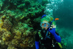 Sprachaufenthalt Australien - Scuba Diving Great Barrier Reef