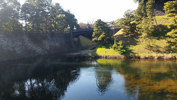 Sprachaufenthalt Japan - Park beim Kaiserpalast in Chidoya, Tokio