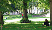 Im Park entspannen nach Schulen Basel 