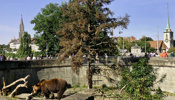 Bärengraben besuchen nach Schule Bern
