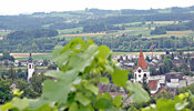 Blick auf Stadt mit Schulen Weinfelden aus den Weinbergen