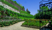 Der Rosengarten in der Altstadt sorgt für Entspannung nach Schulen in Rapperswil-Jona