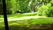 Auf zahlreichen Grünflächen lässt sich bei Schulen Winterthur in den Pausen entspannen