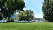 Die Pausen an Schulen Zürich lassen sich entspannt an der Chinawiese und am See verbringen