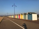 Strandhäuser bei Estbourne