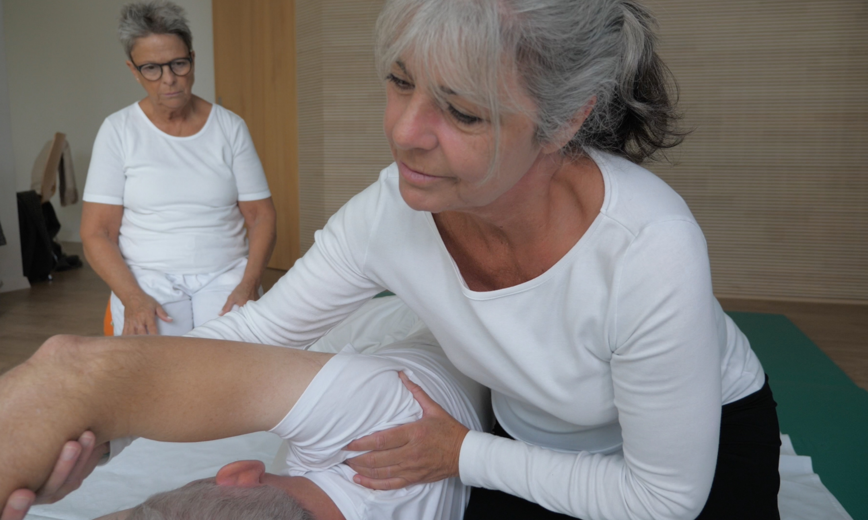 Ausbildung Shiatsu
