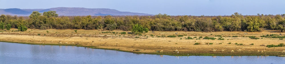 Der Krüger-Nationalpark im Nordosten von Südafrika