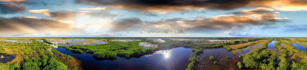 Die Everglades in Florida