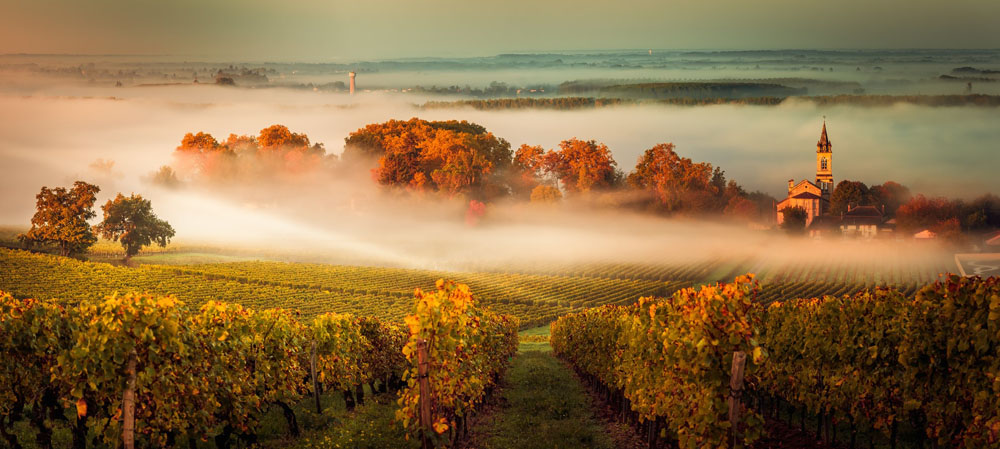 Malerisches Weingut in der Umgebung Bordeaux