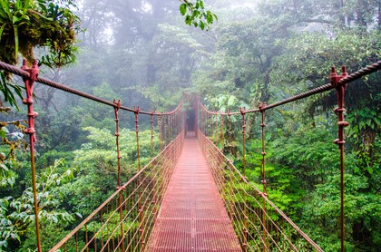 Der Urwald Costa Ricas lädt zu abenteuerlichen Trekkings und Wanderungen ein