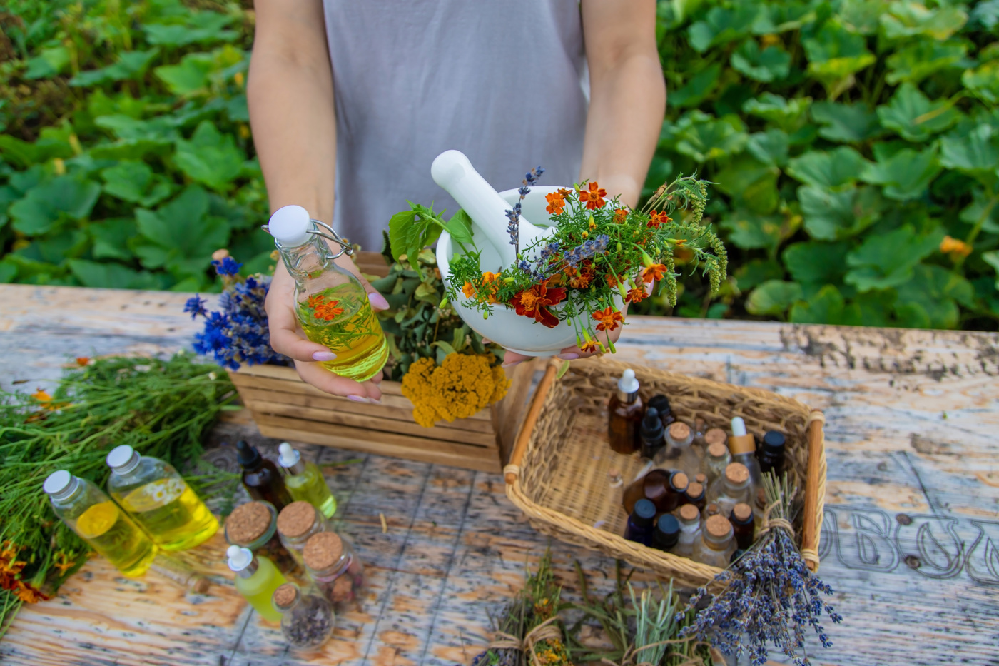 A naturopath prepares a homeopathic remedy from plants.