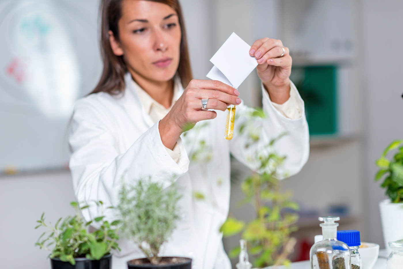 Homöopathie-Ausbildung: Lernen mit natürlichen Heilmitteln