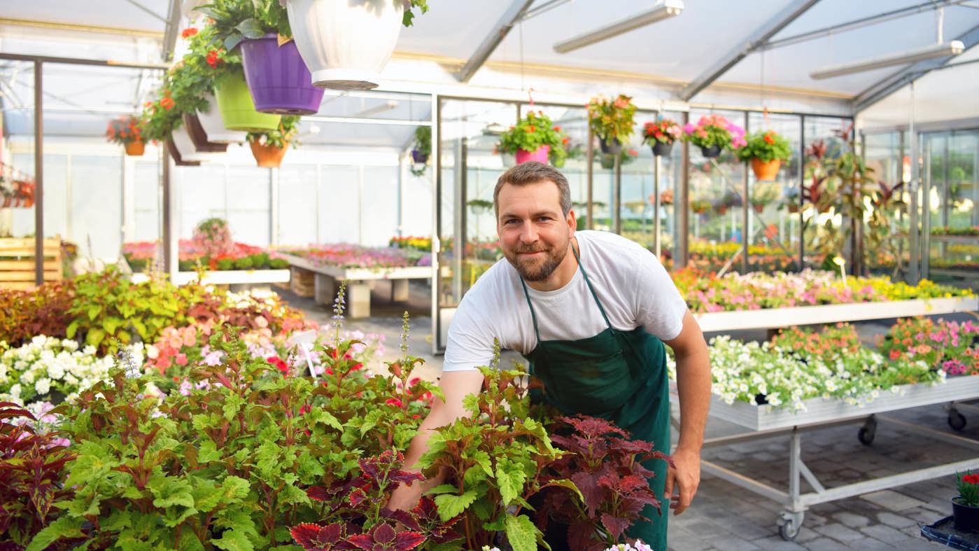 Ein Gärtner richtet die Blumen in einem Gartencenter.