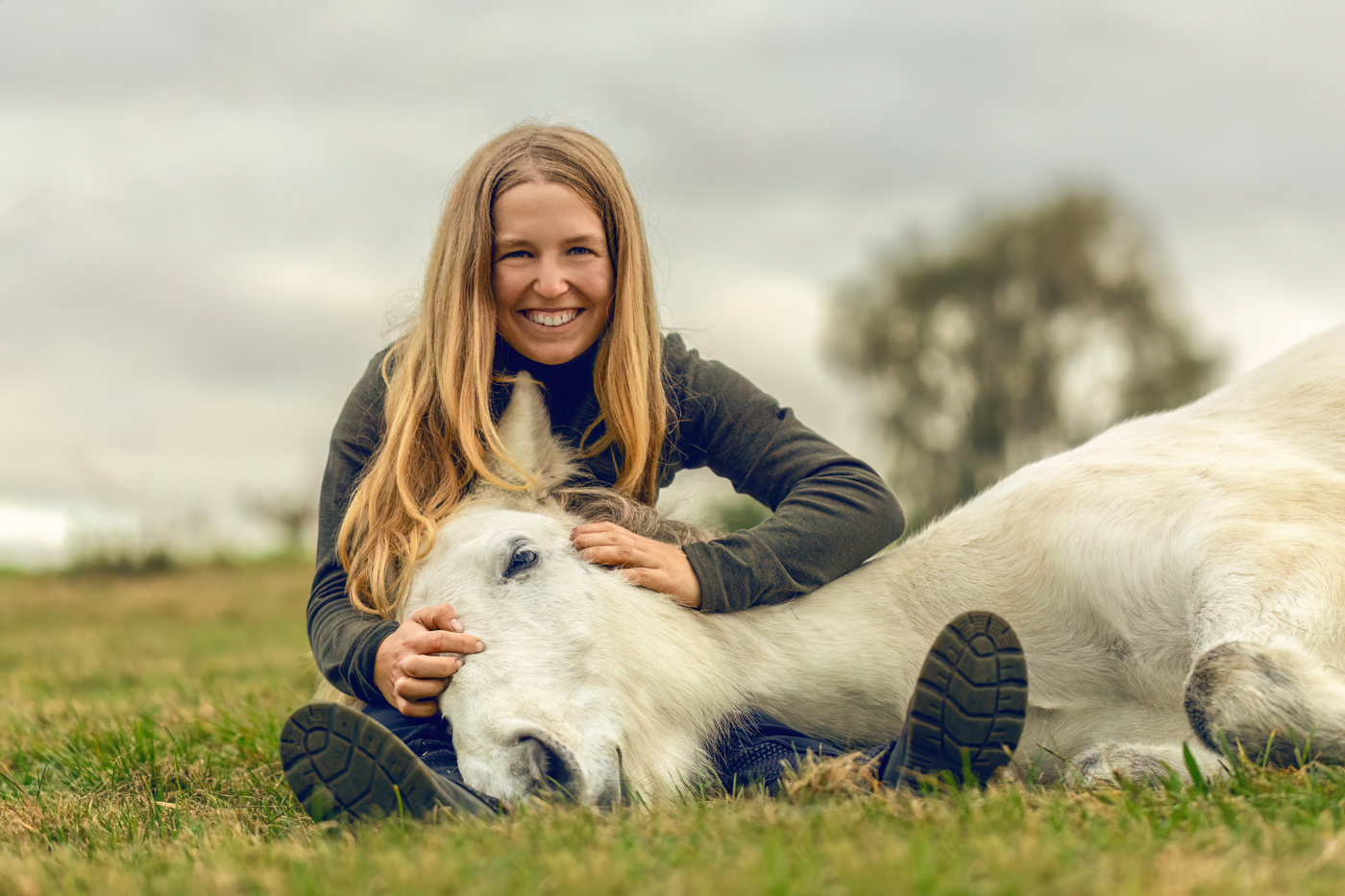 Animal communication training - practical training in perception, communication techniques and understanding animals