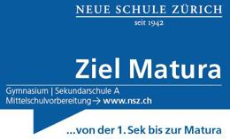 Logo Neue Schule Zürich