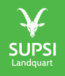 Logo SUPSI Landquart